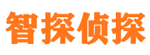 柳城市婚外情调查